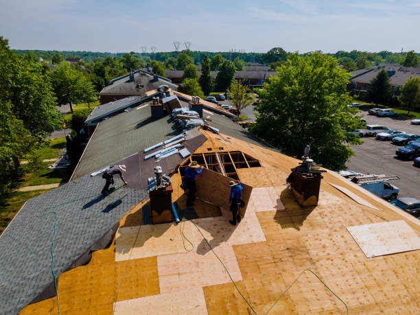 Best Best Roofing Contractors  in Chauvin, LA