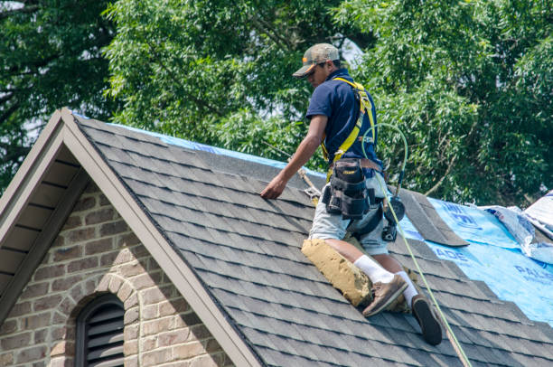 Best Roof Repair Specialists  in Chauvin, LA